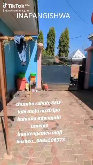 Nyumba ya chumba kimoja inapangishwa Kahama Mhongolo Nyumba ya chumba kimoja inapangishwa Kahama Mhongolo