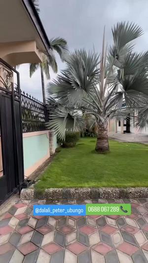 3 Bedrooms Apartment for Rent in Tabata Segerea Kwa Bibi, Dar Es Salaam