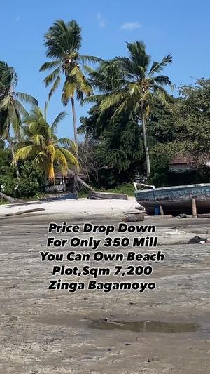 Beach Plot for Sale in Zinga, Pwani (7200 sqm) Beach Plot for Sale in Zinga, Pwani (7200 sqm)