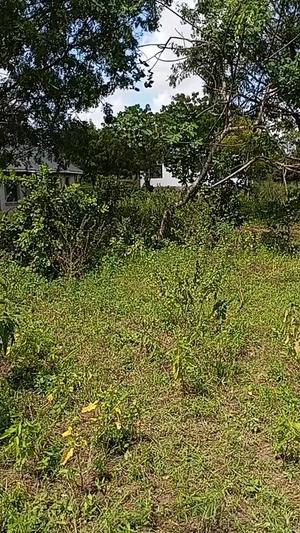 Plots for sale in Goba Tegeta A, Dar Es Salaam