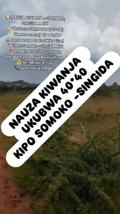 Plot for sale in Mjini, Ruvuma