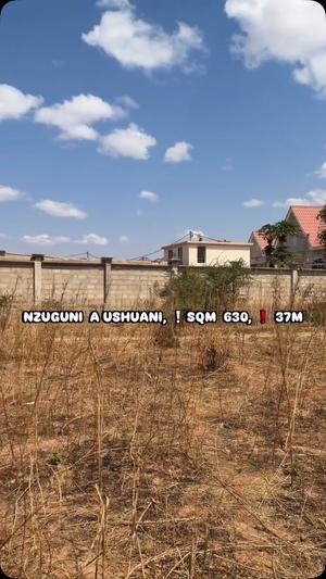 Kiwanja kinauzwa Nzuguni A - Ushwani, Dodoma (650 sqm)