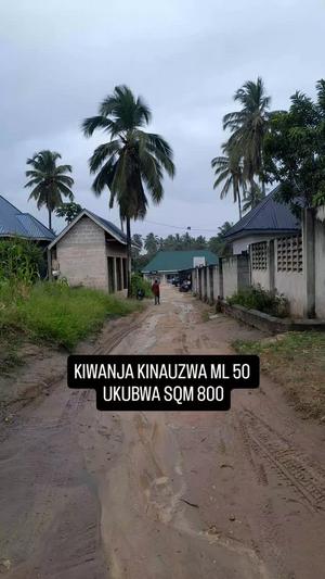 Kiwanja kinauzwa Goba Njia Panda Ya Tegeta A, Dar Es Salaam sqm 800