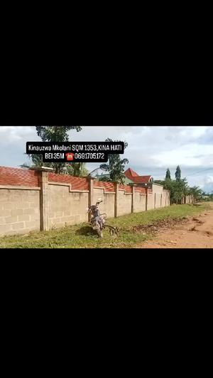 Kiwanja kinauzwa Mkolani, Mwanza sqm 1353