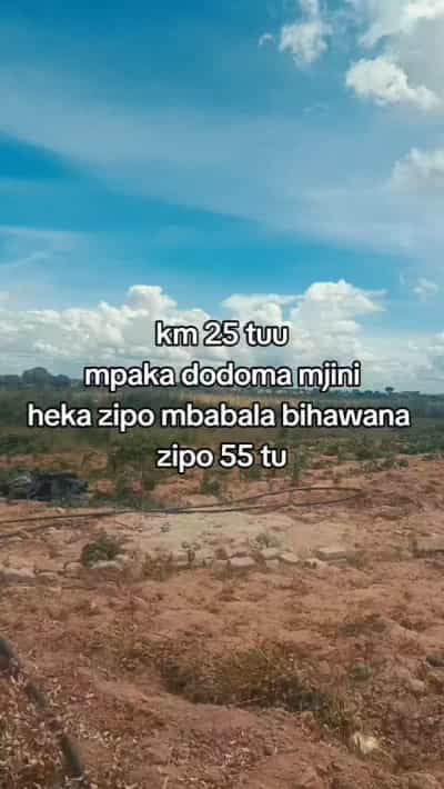 Shamba linauzwa Mbabala, Dodoma (55 acre)