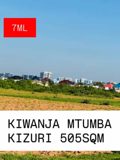 Kiwanja kinauzwa Mtumba Mji Wa Serikali, Dodoma (500 sqm)