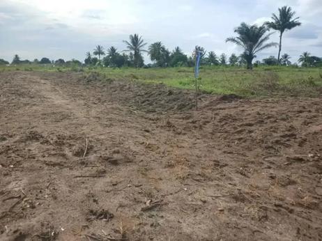 Viwanja vinauzwa Mvuti Kiboga, Dar Es Salaam sqm 400