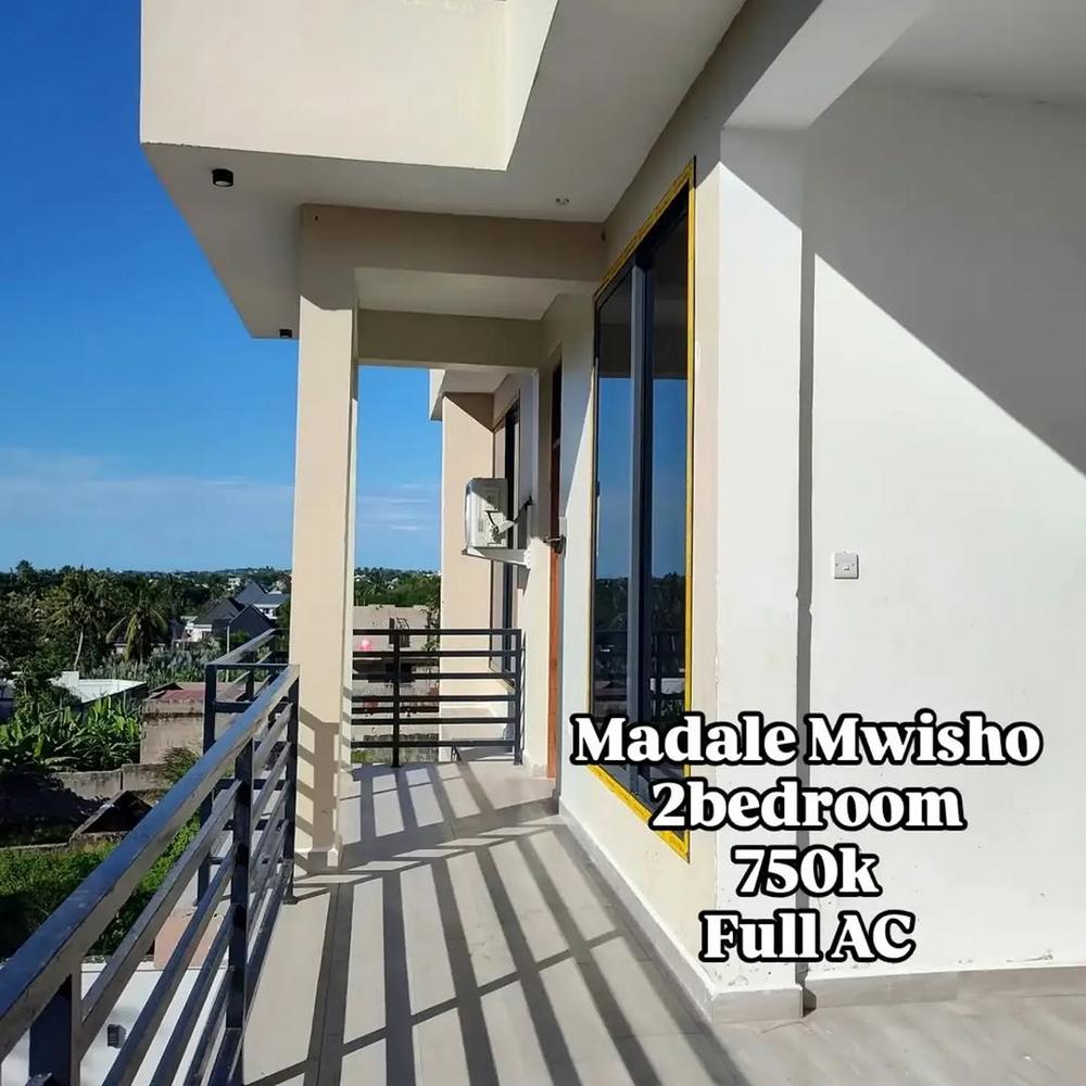 media -6