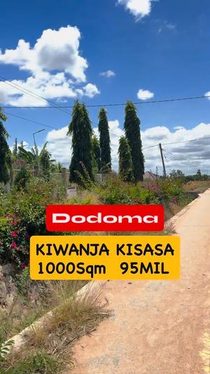 Viwanja vinauzwa Kisasa, Dodoma sqm 1000