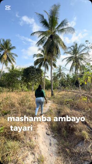 Shamba linauzwa Mkuranga, Njia Panda Ya Kisele, Pwani (6 acre) Shamba linauzwa Mkuranga, Njia Panda Ya Kisele, Pwani (6 acre)