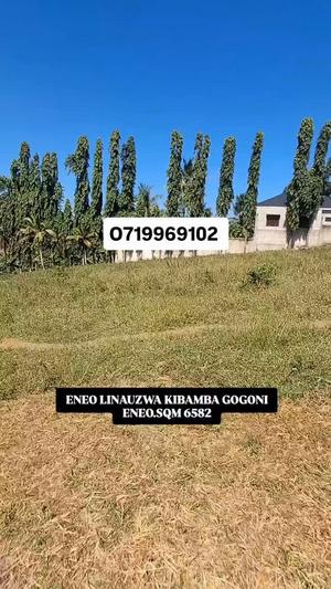 Kiwanja kinauzwa Kibamba Gogoni, Dar Es Salaam sqm 6582