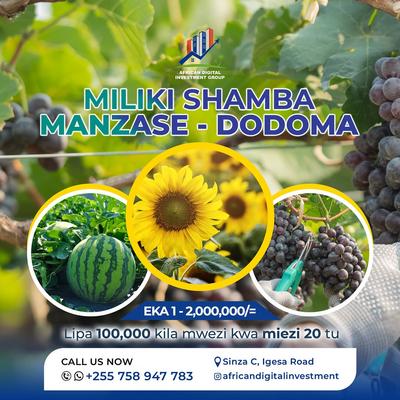 Farm for Sale in Manzase, Dodoma