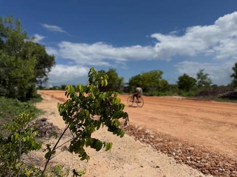 Plot for sale in Muyuni Matemwe, Zanzibar sqm 540