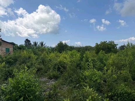 Beach Plot for Sale in Kendwa, Zanzibar (900 sqm) Beach Plot for Sale in Kendwa, Zanzibar (900 sqm)