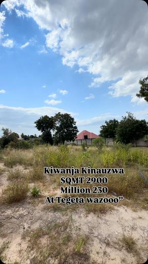Kiwanja kinauzwa Tegeta Wazo, Dar Es Salaam sqm 2900 Kiwanja kinauzwa Tegeta Wazo, Dar Es Salaam sqm 2900