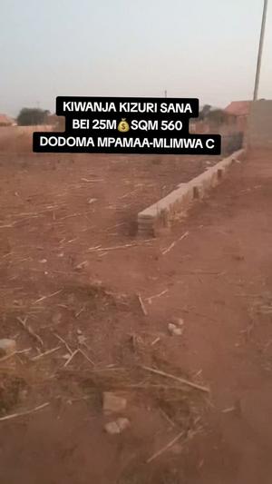 Kiwanja kinauzwa Mpamaa-Mlimwa C, Dodoma (560 sqm) Kiwanja kinauzwa Mpamaa-Mlimwa C, Dodoma (560 sqm)