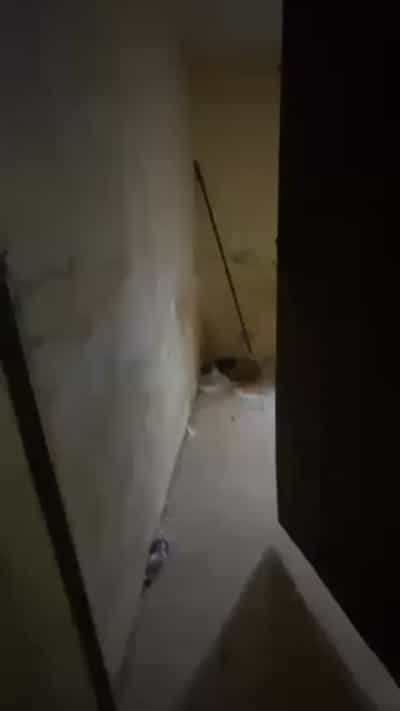 Nyumba ya chumba kimoja inapangishwa Survey, Dar Es Salaam