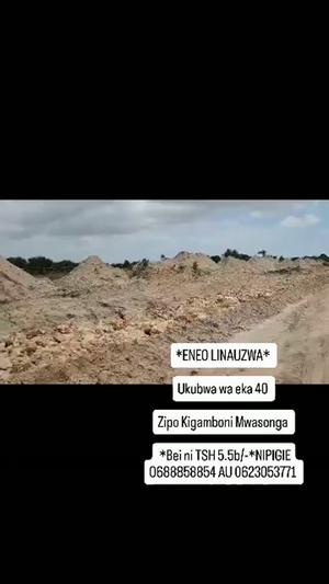 Farm for Sale in Mwasonga, Dar Es Salaam (40 acre)