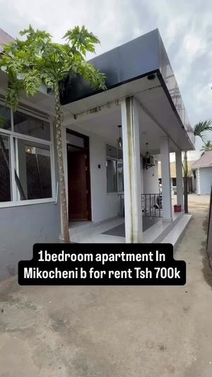 1 Bedroom Apartment for Rent in Mikocheni, Dar Es Salaam