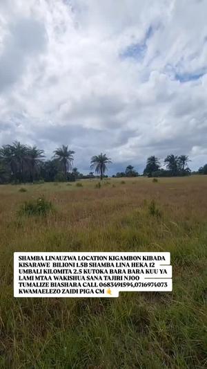 Residential Plot for Sale in Kigamboni Kibada Kisarawe, Dar Es Salaam (12 acre)
