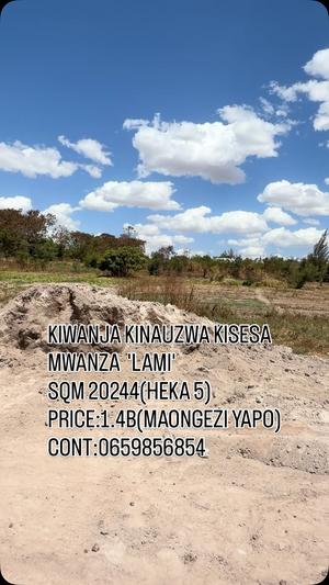 Residential/Commercial Plot for Sale in Kisesa, Mwanza (20244 sqm)