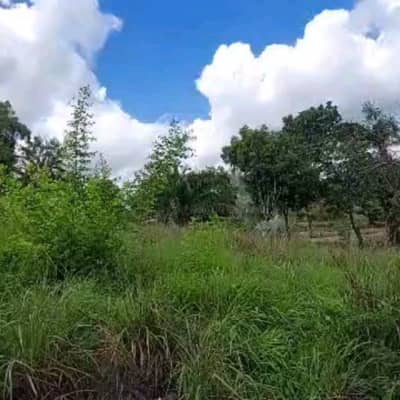 Plot for sale in Mbezi, Dar Es Salaam