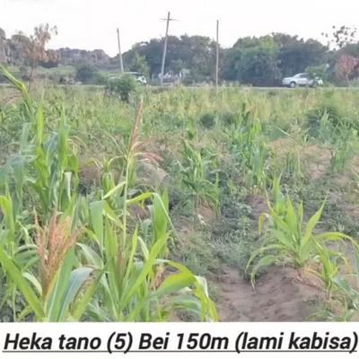 Residential Plot for Sale in Busisi, Mwanza (5 acre) Residential Plot for Sale in Busisi, Mwanza (5 acre)