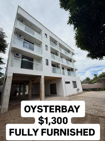 1 Bedroom Furnished House/Apartment for Rent in Oysterbay, Dar Es Salaam 1 Bedroom Furnished House/Apartment for Rent in Oysterbay, Dar Es Salaam