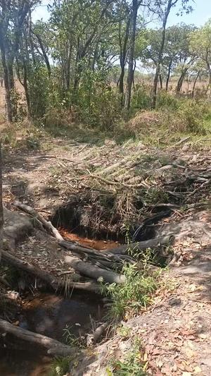 Shamba linauzwa Gumbiro, Ruvuma Shamba linauzwa Gumbiro, Ruvuma