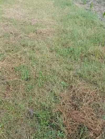 Kiwanja kinauzwa Kimara Tembob, Dar Es Salaam (6000 sqm)