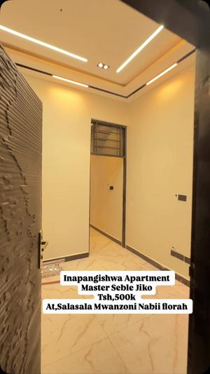 Apartment ya chumba kimoja inapangishwa Salasala Mwanzoni Nabii Florah, Dar Es Salaam Apartment ya chumba kimoja inapangishwa Salasala Mwanzoni Nabii Florah, Dar Es Salaam