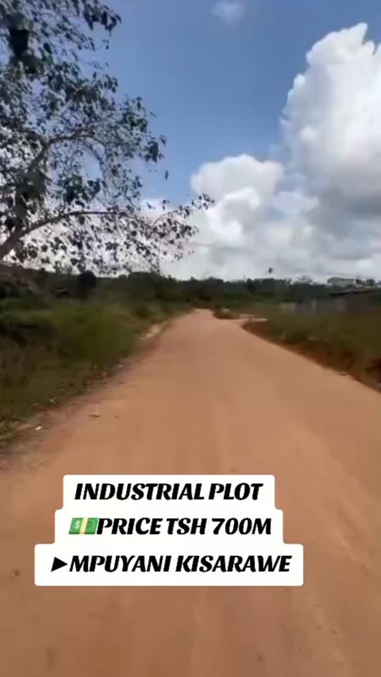 media -1 media -1