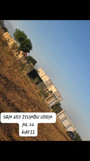Plot for sale in Iyumbu Udom, Dodoma sqm 650
