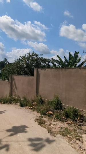 Nyumba ya chumba kimoja inauzwa Mbezi Malamba Mawili Kwembe, Dar Es Salaam (2000 sqm) Nyumba ya chumba kimoja inauzwa Mbezi Malamba Mawili Kwembe, Dar Es Salaam (2000 sqm)