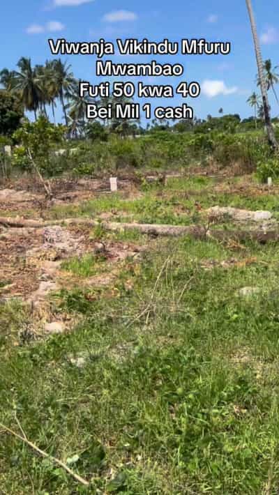 Kiwanja kinauzwa Vikindu Vianzi Mfurumwambao, Pwani (200 sqm) Kiwanja kinauzwa Vikindu Vianzi Mfurumwambao, Pwani (200 sqm)