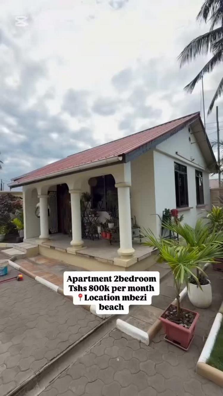video thumbnail video thumbnail