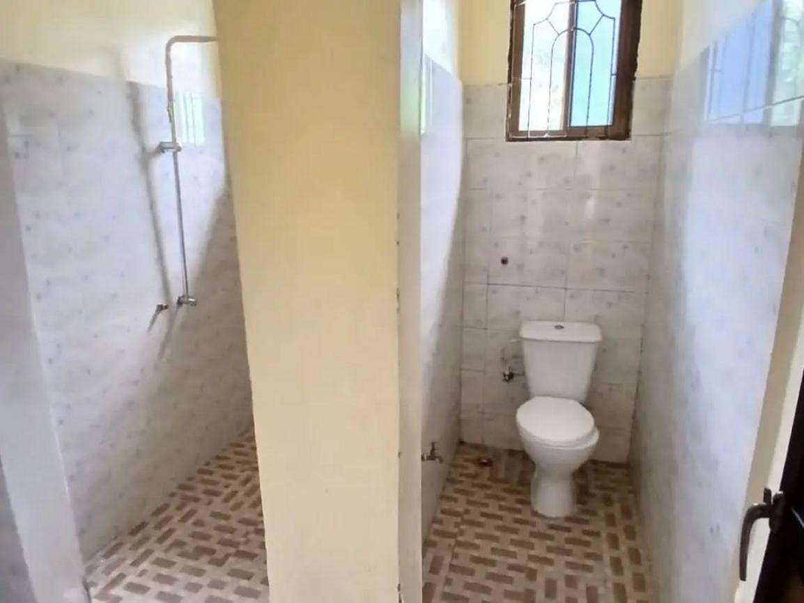 media -5