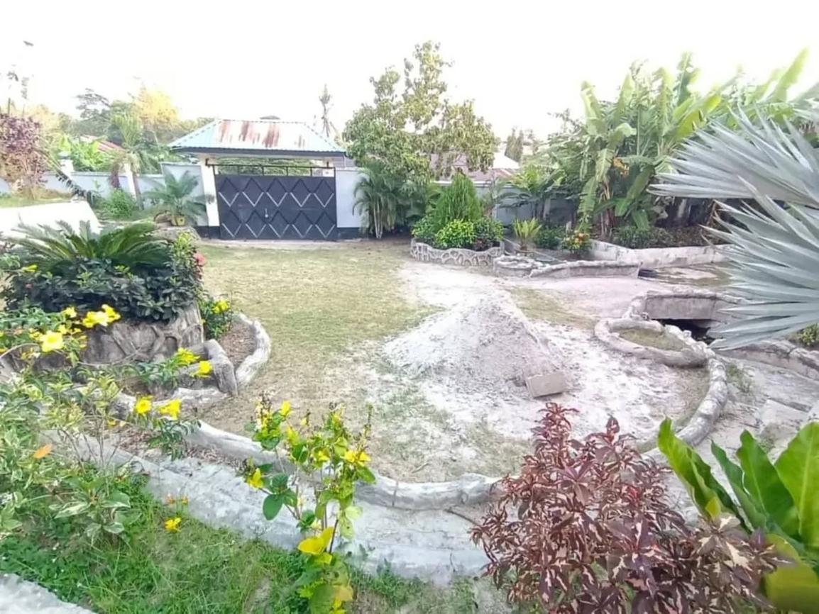 media -2
