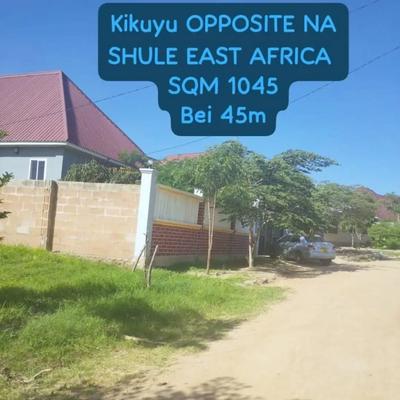 Kiwanja kinauzwa Kikuyu, Dodoma (1045 sqm) Kiwanja kinauzwa Kikuyu, Dodoma (1045 sqm)