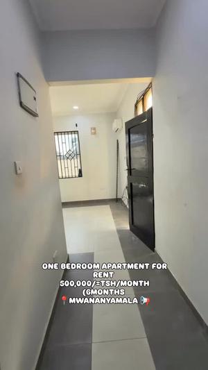 Apartment ya chumba kimoja inapangishwa Mwananyamala, Dar Es Salaam Apartment ya chumba kimoja inapangishwa Mwananyamala, Dar Es Salaam