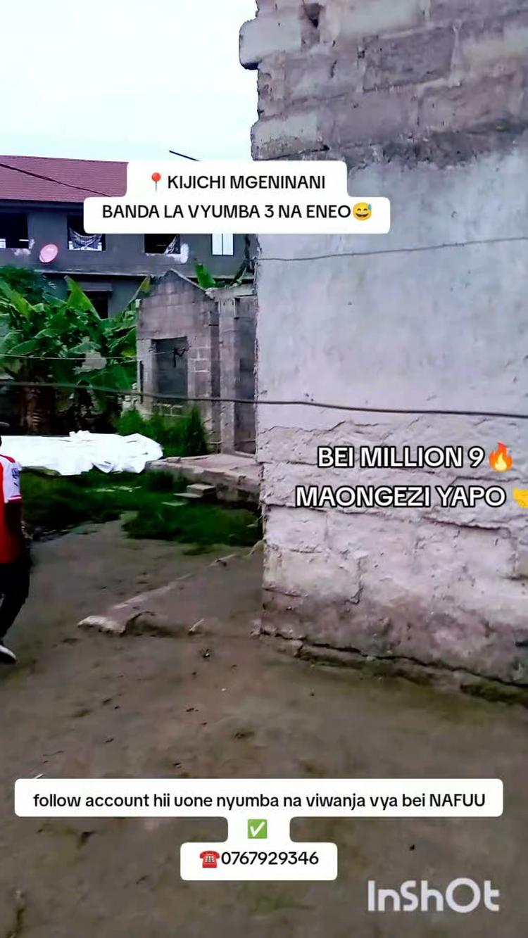 media -1 media -1