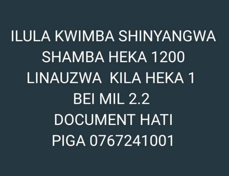 Shamba linauzwa Ilula Kwimba, Mwanza (1200 acre) Shamba linauzwa Ilula Kwimba, Mwanza (1200 acre)