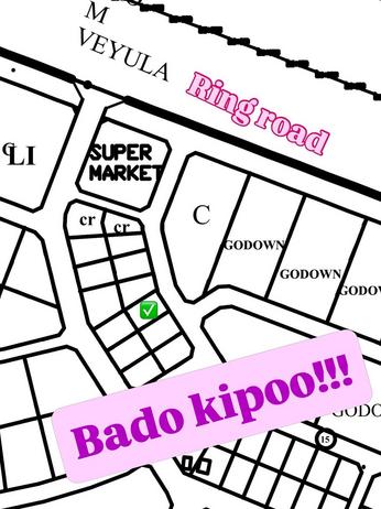 Kiwanja kinauzwa Msalato, Dodoma (600 sqm) Kiwanja kinauzwa Msalato, Dodoma (600 sqm)
