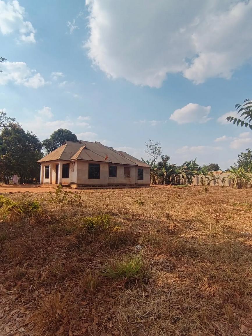 media -3
