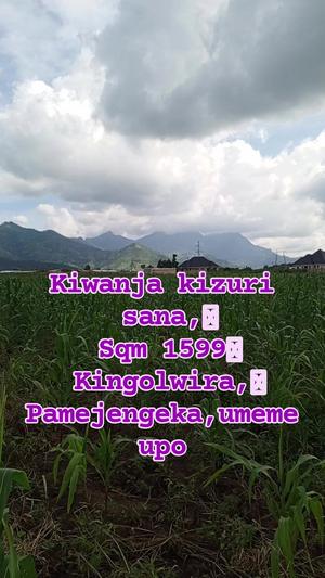 Kiwanja kinauzwa Kingolwira, Morogoro sqm 1599
