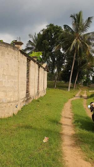 Kiwanja kinauzwa Tabata Makabe, Dar Es Salaam (1149 sqm) Kiwanja kinauzwa Tabata Makabe, Dar Es Salaam (1149 sqm)