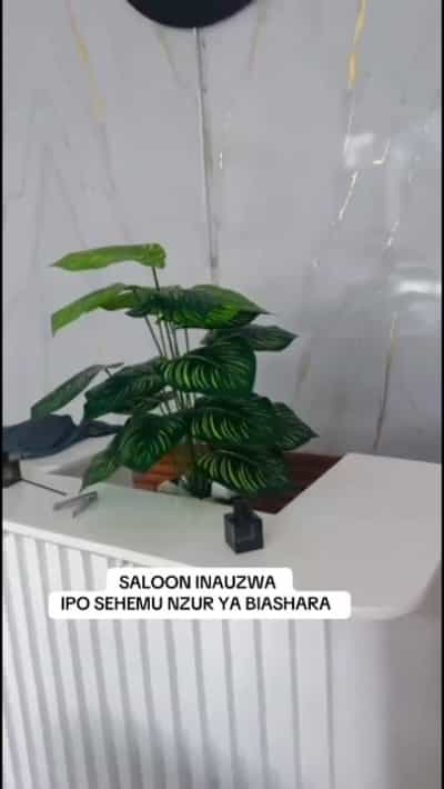 Shop for Sale in Kijitonyama, Dar Es Salaam