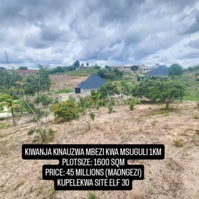 Residential Plot for Sale in Mbezi Msuguri, Dar Es Salaam (1600 sqm)