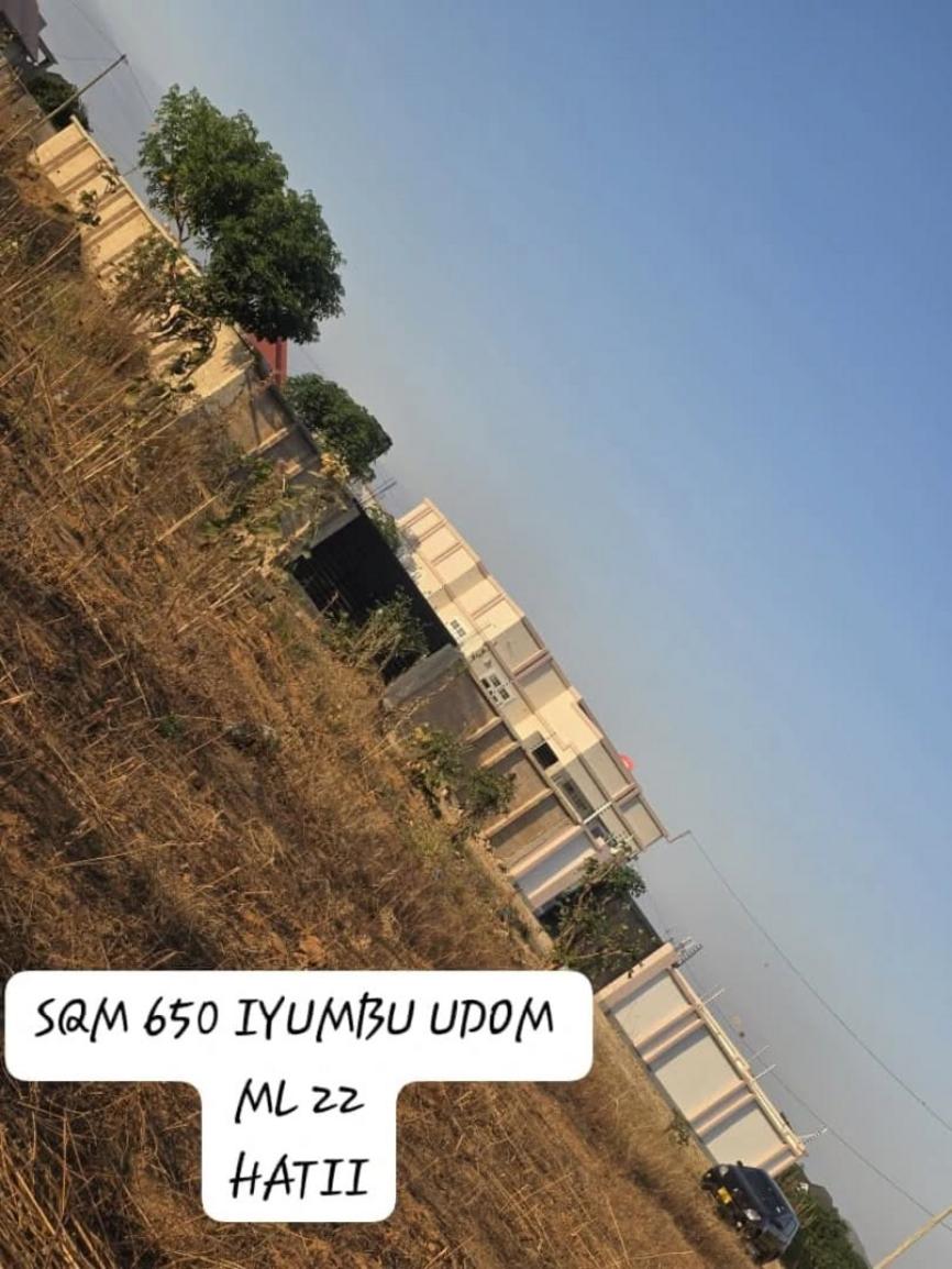 media -1 media -1