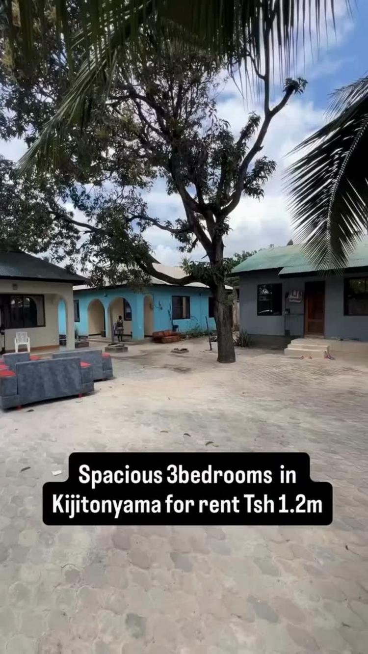 media -1 media -1